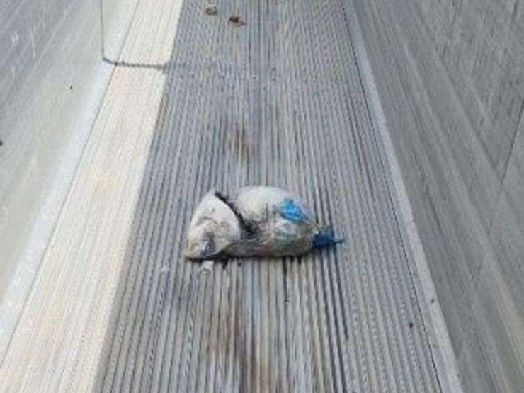 2013-mac-walking-floor-trailer-image-9