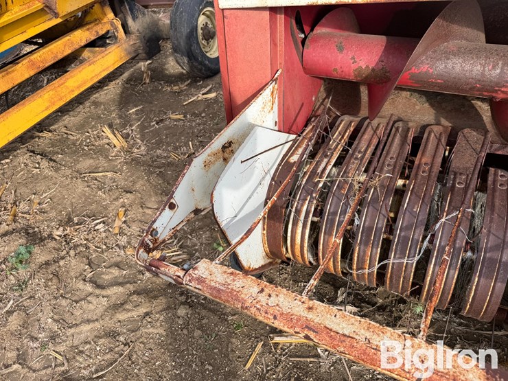 international-430-image-16