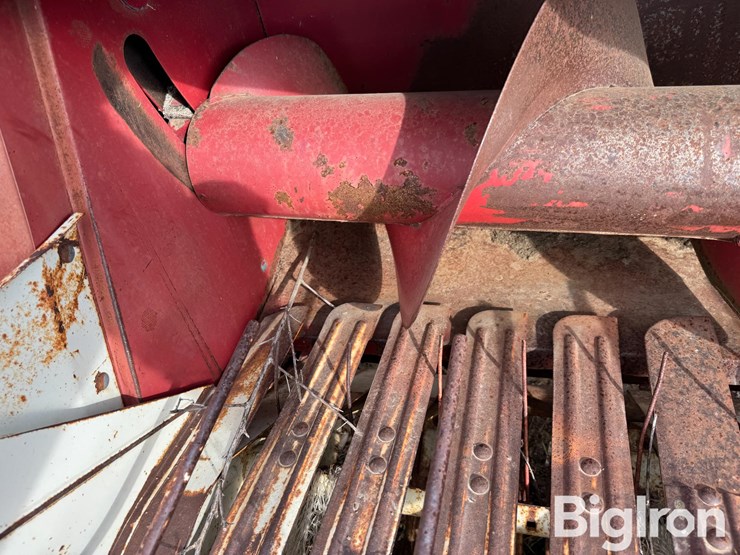 international-430-image-19