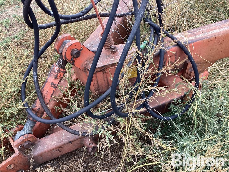 sunflower-3651-25-image-11