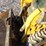 wacker-neuson-sw20-image-19