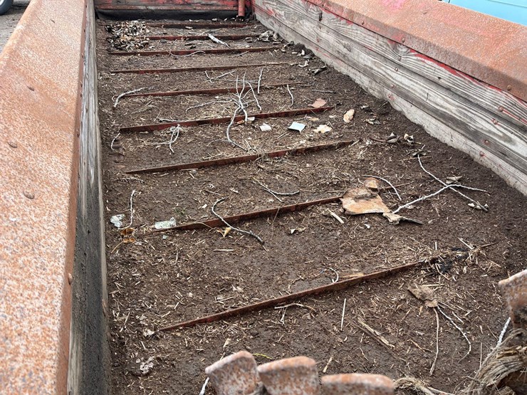 international-175-image-17