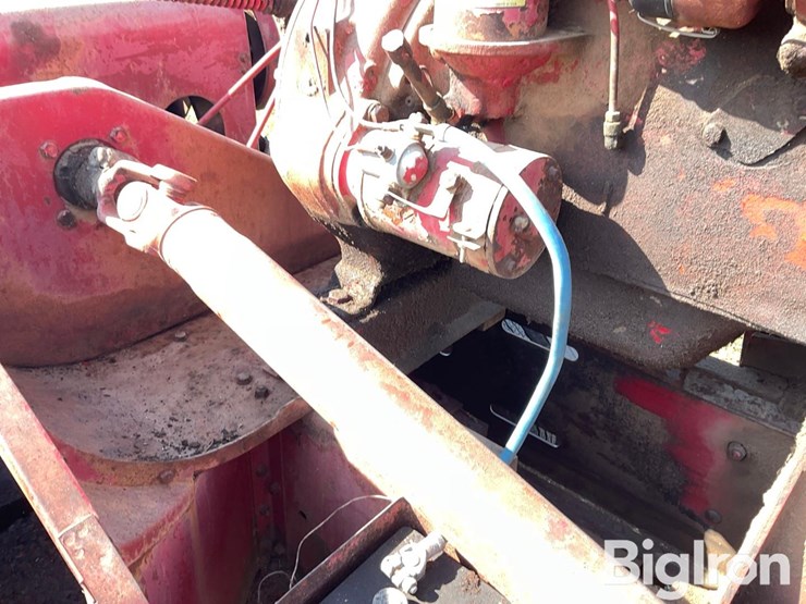 international-55-image-11