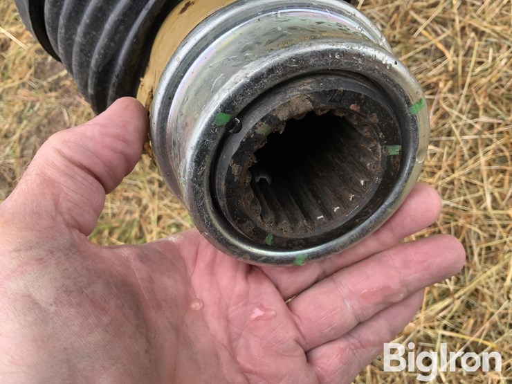 2008-brent-1194-image-11