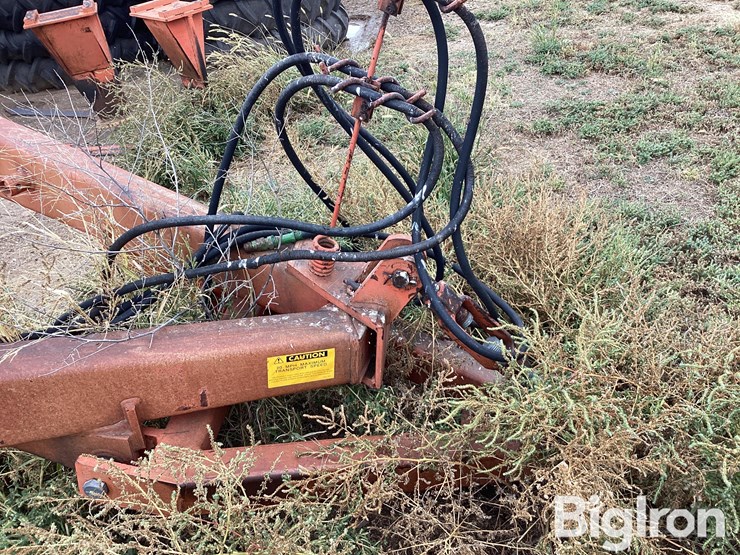 sunflower-3651-25-image-9