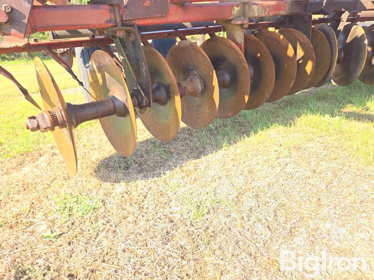 international-3-image-19