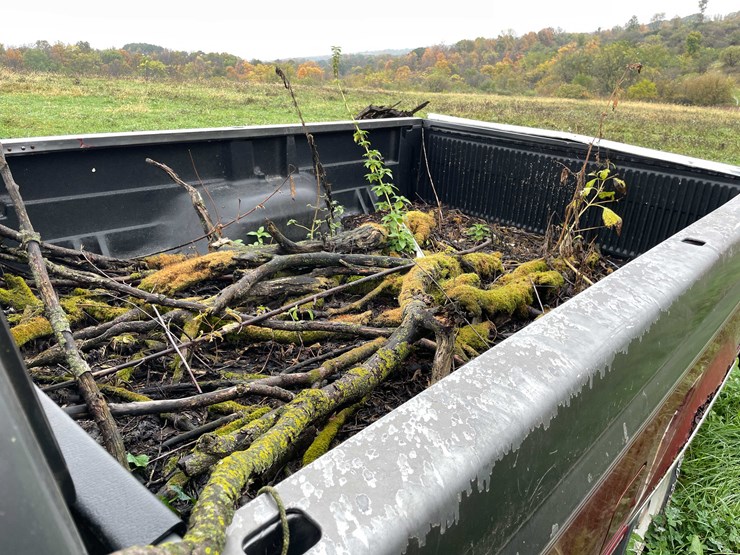 1992-ford-f150-xlt-image-17