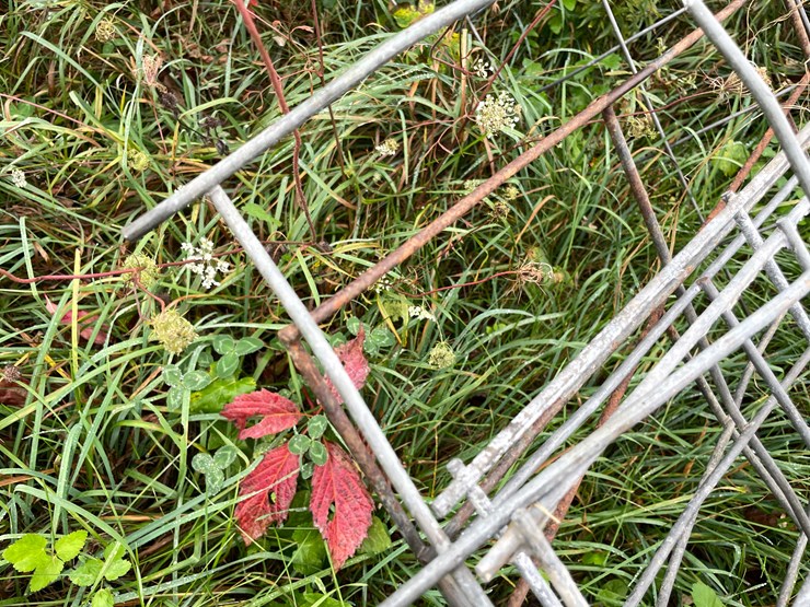 #8036-•-fence-panels-image-4