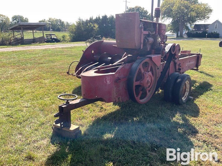 international-55-image-1