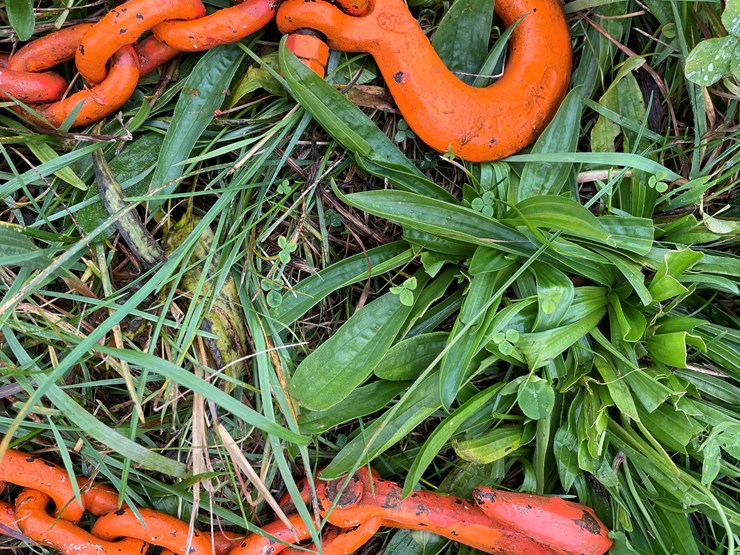 #8145-•-log-chain-image-8