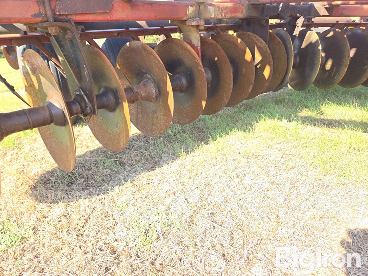 international-3-image-18