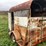 #8038-•-single-axle-horse-trailer-(no-title)-image-7