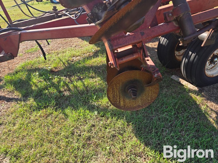 international-3-image-10