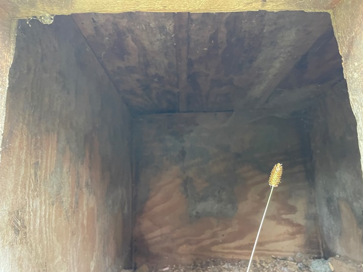 homemade-dog-image-5