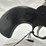 #2025-00029-•-ruger-wrangler-revolver-image-22