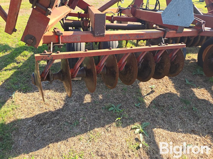 international-3-image-12