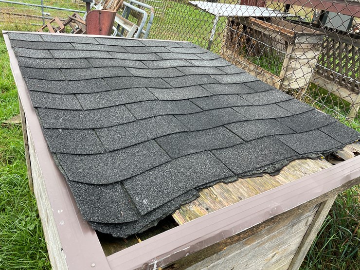 homemade-dog-image-10