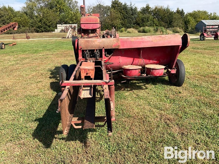 international-55-image-5