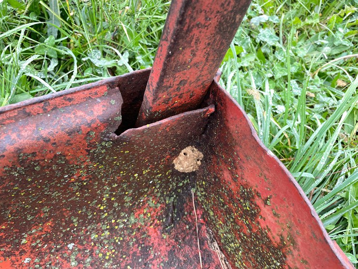 international-300-image-4