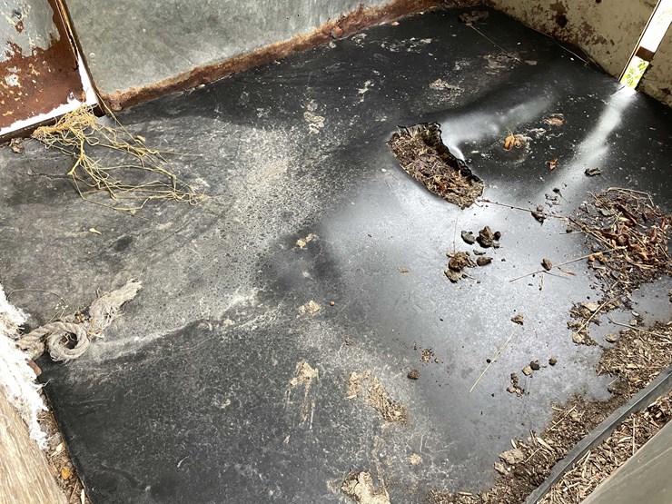 #8038-•-single-axle-horse-trailer-(no-title)-image-19