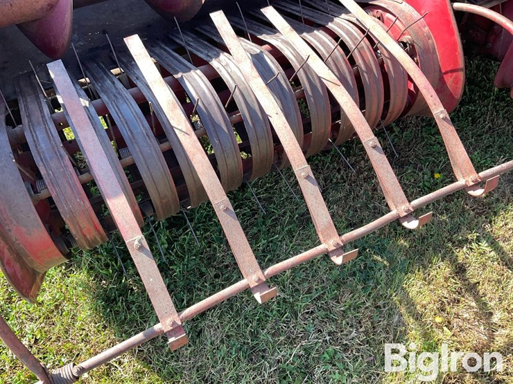 international-55-image-10