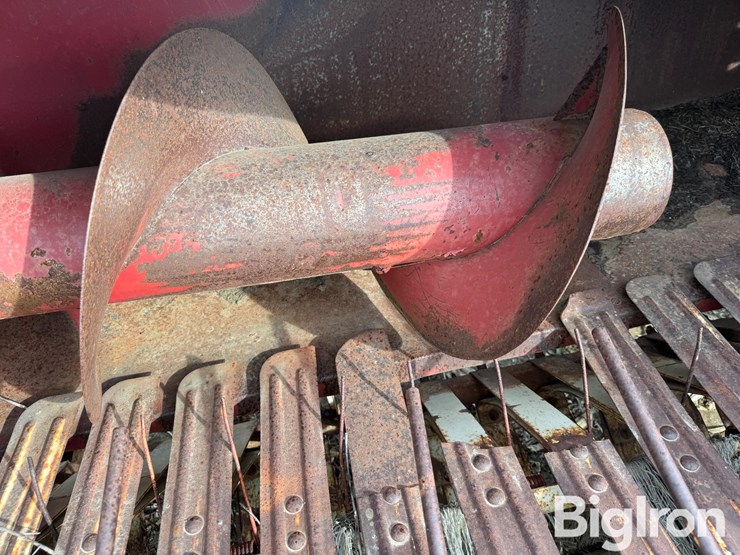 international-430-image-20