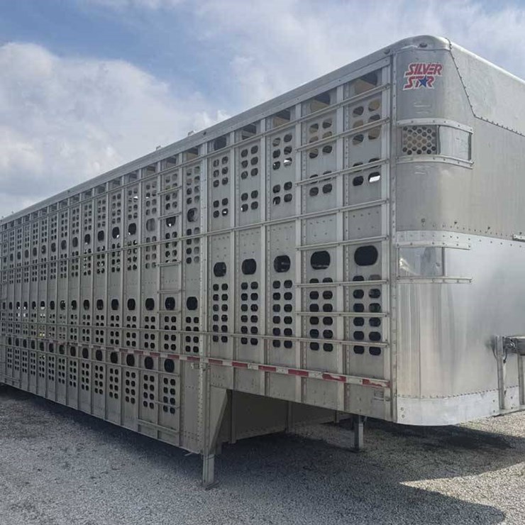 2018 WILSON LIVESTOCK