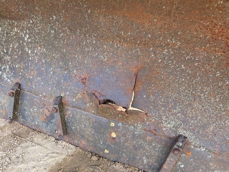 oliver-1600-image-20