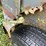#8040-•-1998-corn-pro-tandem-axle-horse-trailer-(no-title)-image-34