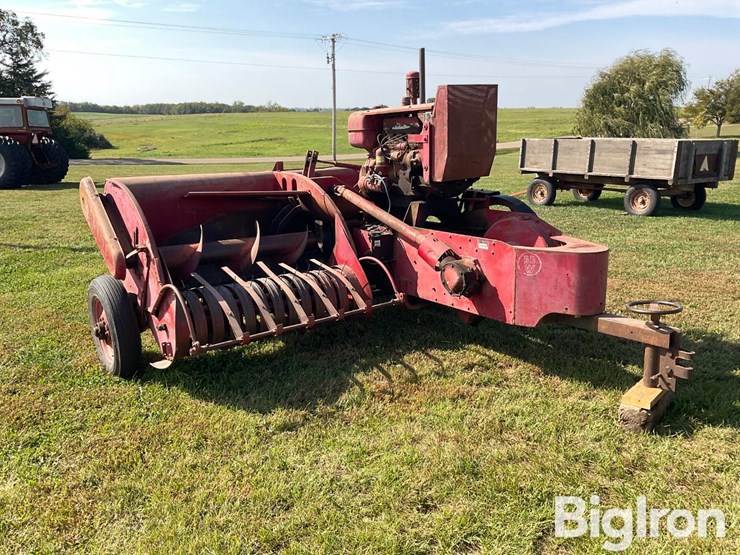 international-55-image-3