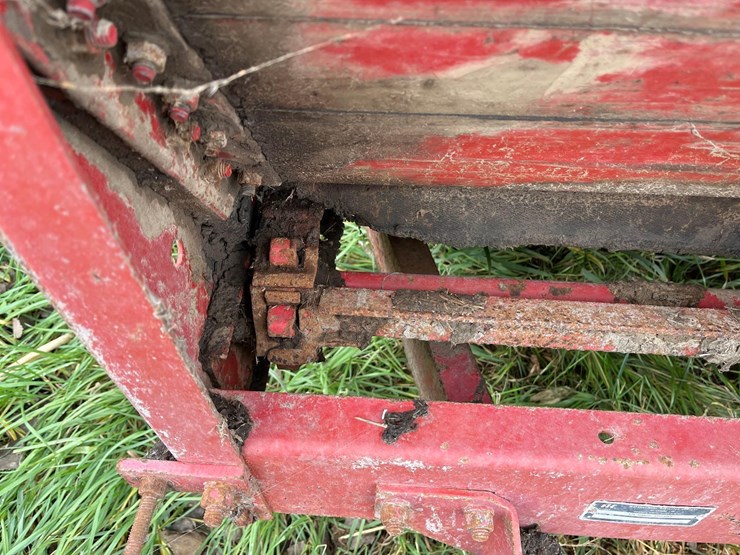 international-175-image-4