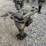 wacker-neuson-bs50-4s-tamper-image-1