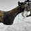 #2025-00046-•-keystone-sporting-cricket-rifle-image-18