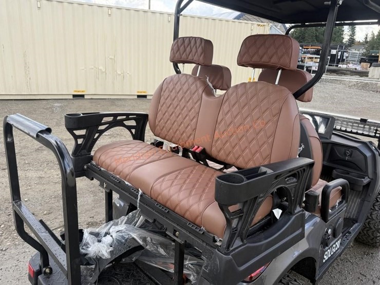 2025-sdlanch-electric-golf-cart-image-21