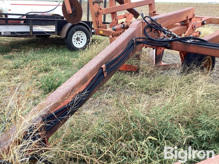 sunflower-3651-25-image-13