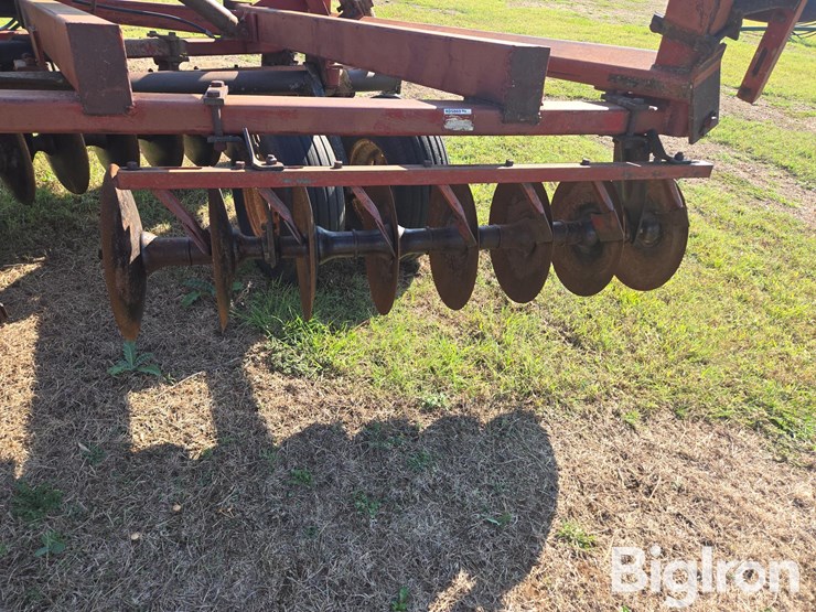 international-3-image-13