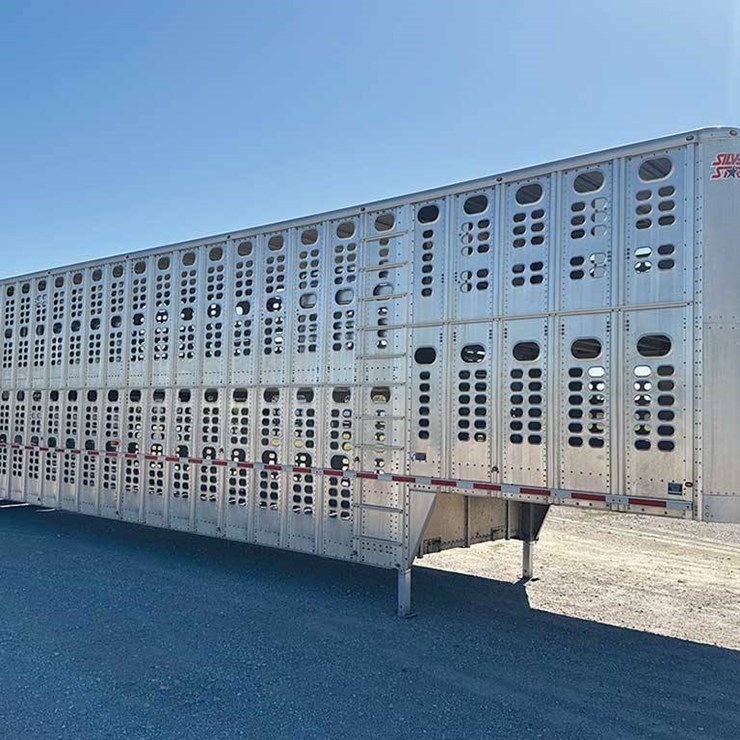 2021 WILSON LIVESTOCK