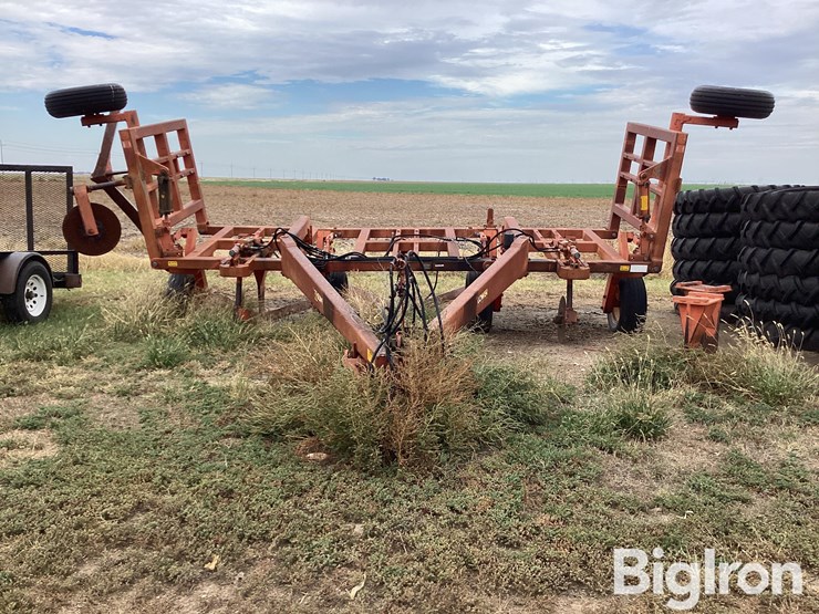 sunflower-3651-25-image-2
