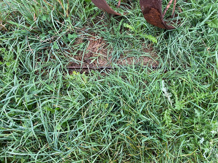 #9619-•-(2)-vintage-steel-wheels-image-2