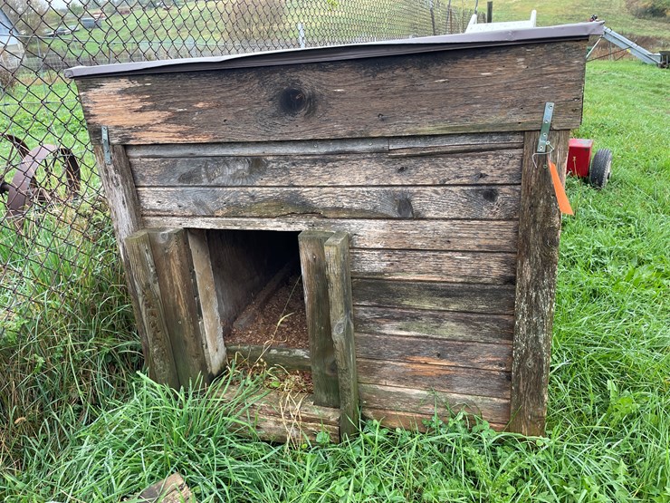 homemade-dog-image-2