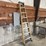 husky-8'-fiberglass-step-ladder-image-2