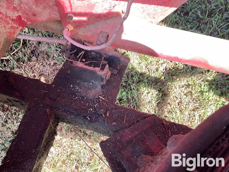 international-55-image-19