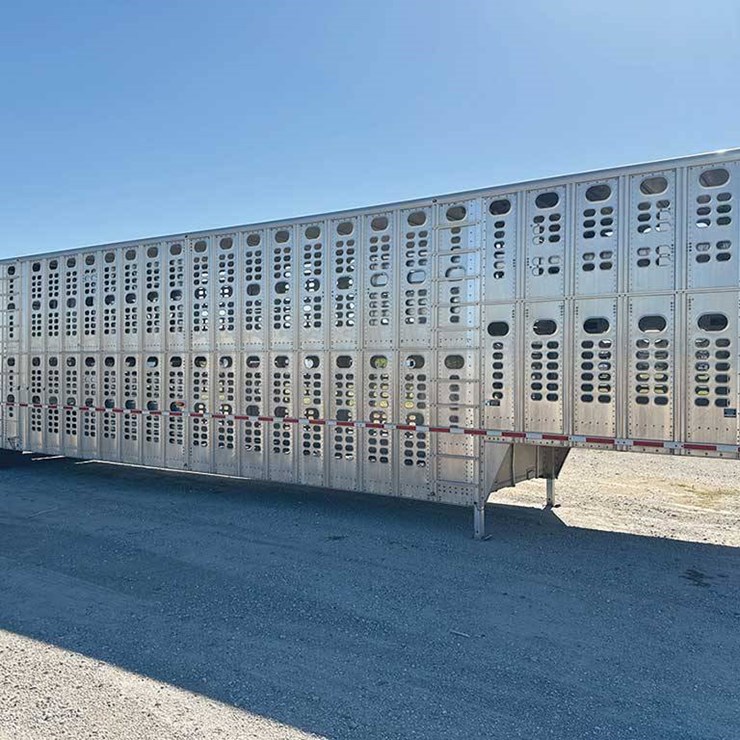 2020 WILSON LIVESTOCK