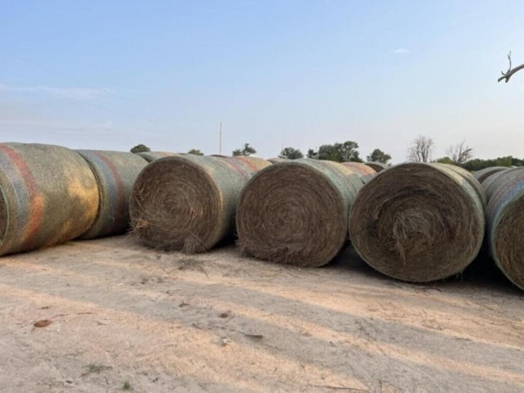 new-bermuda-spriggs-ozark-image-3