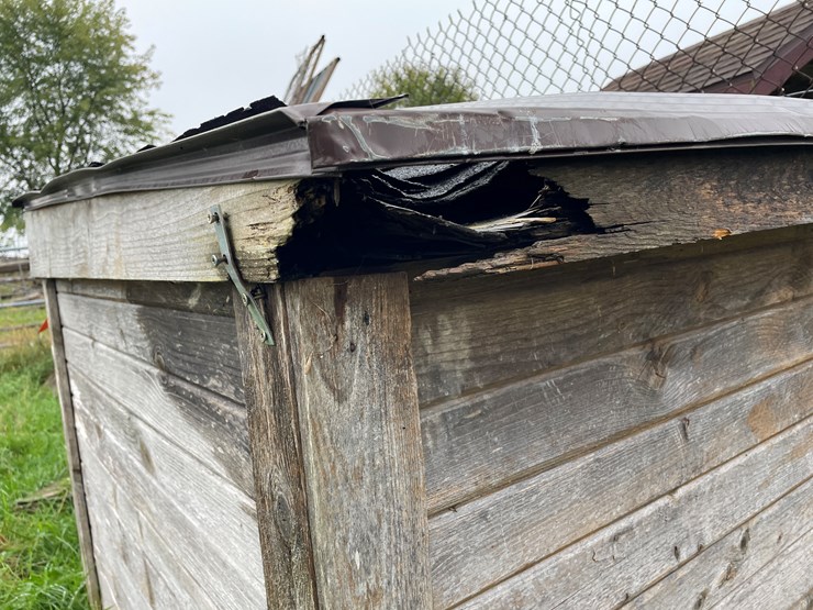 homemade-dog-image-8