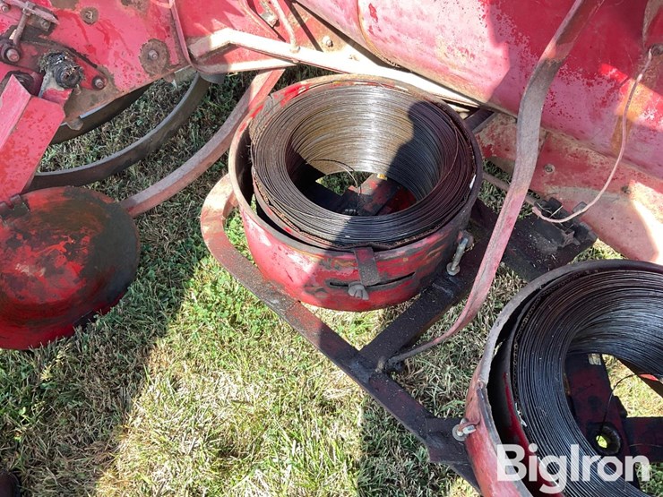 international-55-image-17