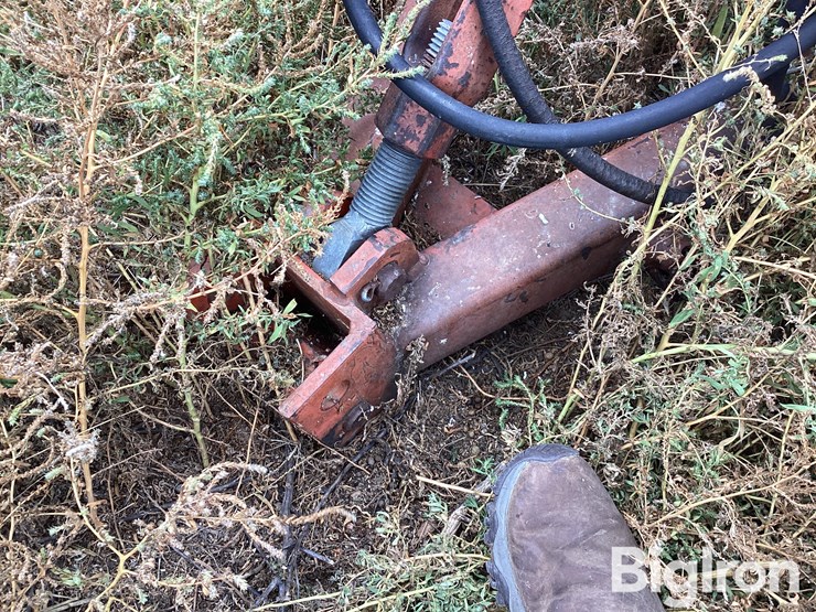 sunflower-3651-25-image-10