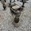 wacker-neuson-bs60-y-tamper-image-7