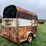 #8038-•-single-axle-horse-trailer-(no-title)-image-5
