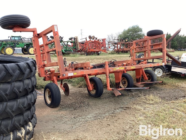 sunflower-3651-25-image-7